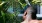 A man rinsing off an outdoor shower