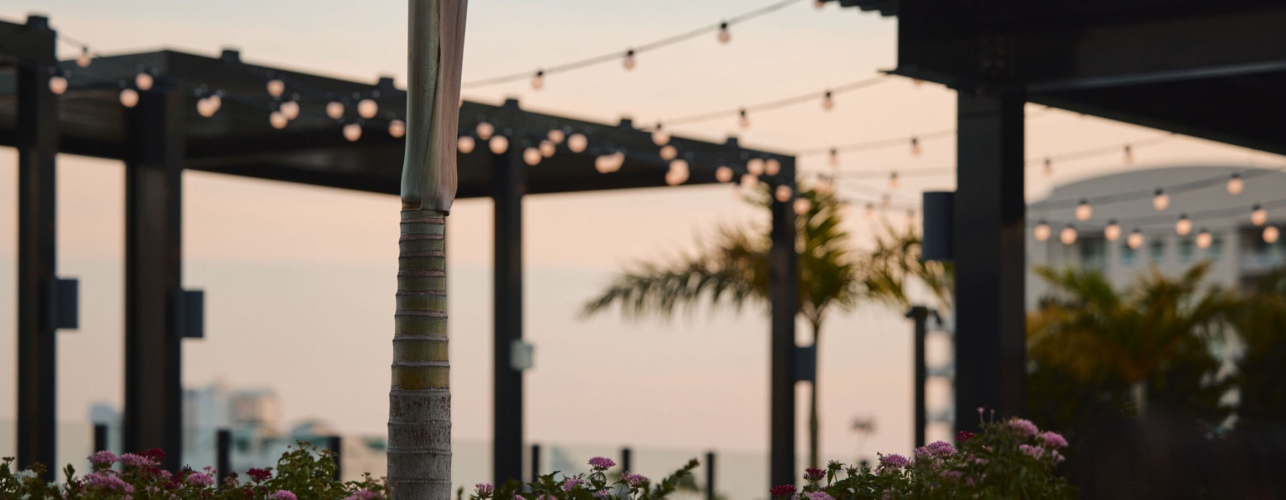 Detail Shot of Rooftop Terrace at Sunset 